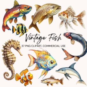 Vintage Fish Clipart Images – Hand-Painted Ocean Creatures, Marine Life Illustrations, Transparent PNGs for Scrapbooking & Junk Journals (Digital Download)